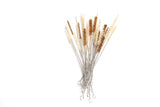 Agave Fiber Straw Brushes