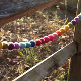 6' Felt Rainbow Pompom Ball Garland