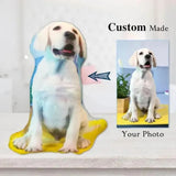 Custom Pet Photo Pillow, Custom Pet Face Pillow, 3D Portrait Pillow