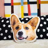 Custom Pet Photo Pillow, Custom Pet Face Pillow, 3D Portrait Pillow